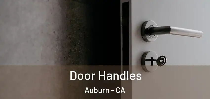  Door Handles Auburn - CA