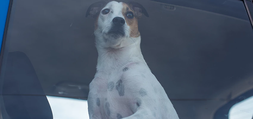 Car Lockout Solutions in Auburn, California